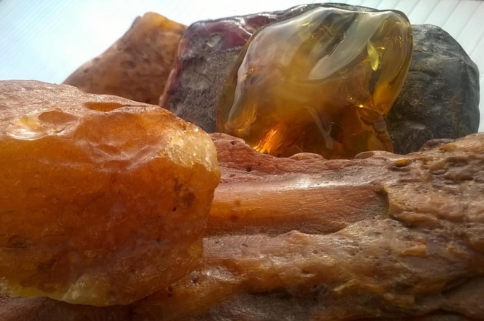 3a Baltic amber Beata Gregorczyk London
